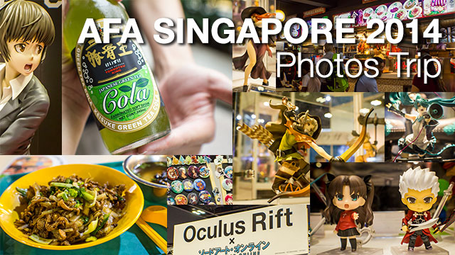 afa_sg_2014_trip